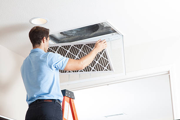 Best Air Filters and Purifiers in Seffner, FL